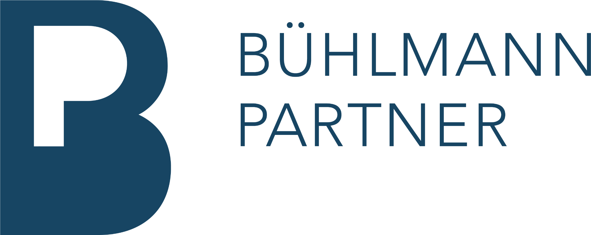 B&P Bühlmann & Partner GmbH